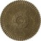 Ekena Millwork Nexus Ceiling Medallion (Fits Canopies up to 2 3/4"), 30"OD x 1 1/4"P, Mississippi Mud Crackle CM30NEMMC - alternate 1